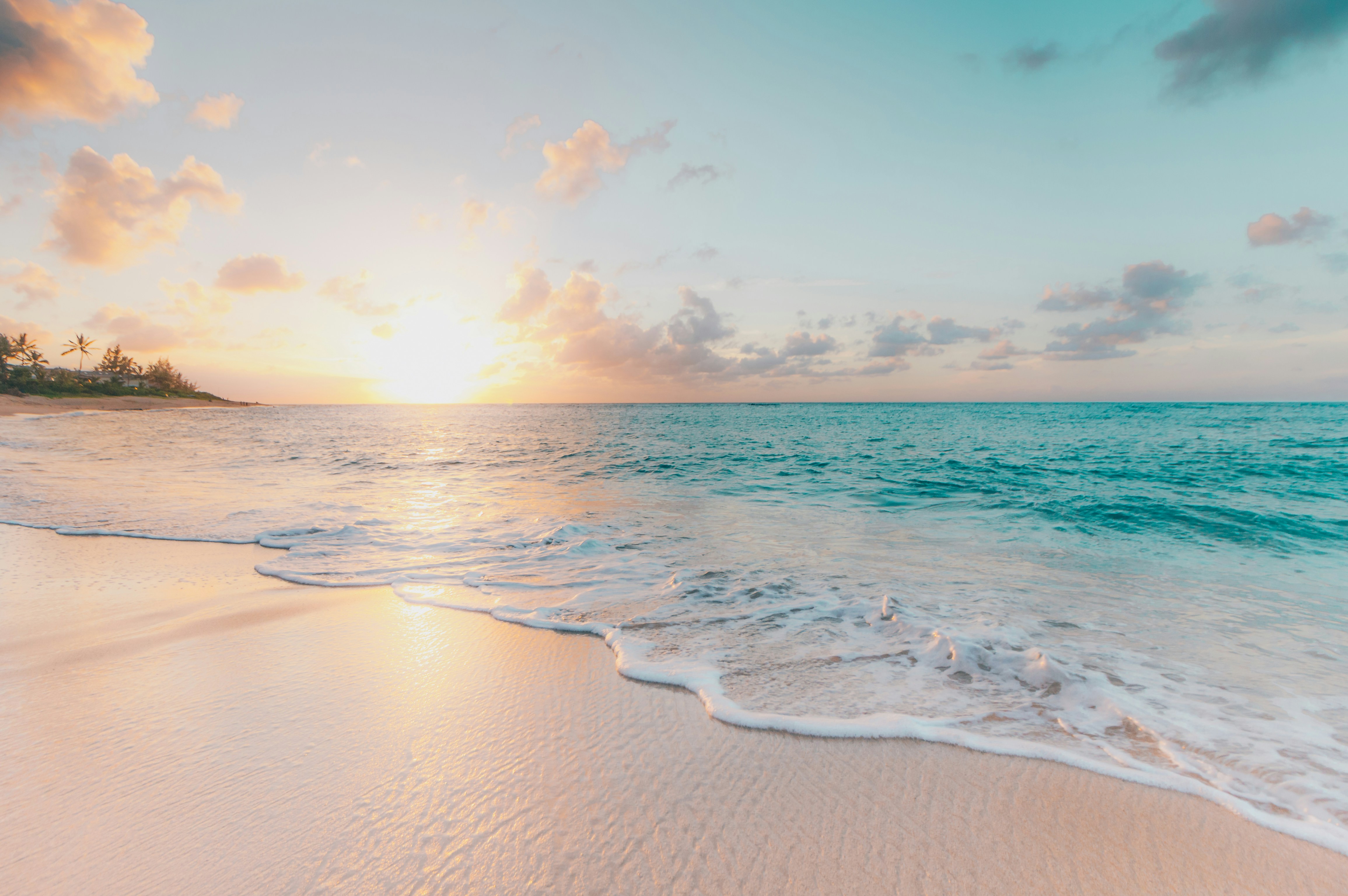 Sunrise over a calm turquoise shoreline with palms