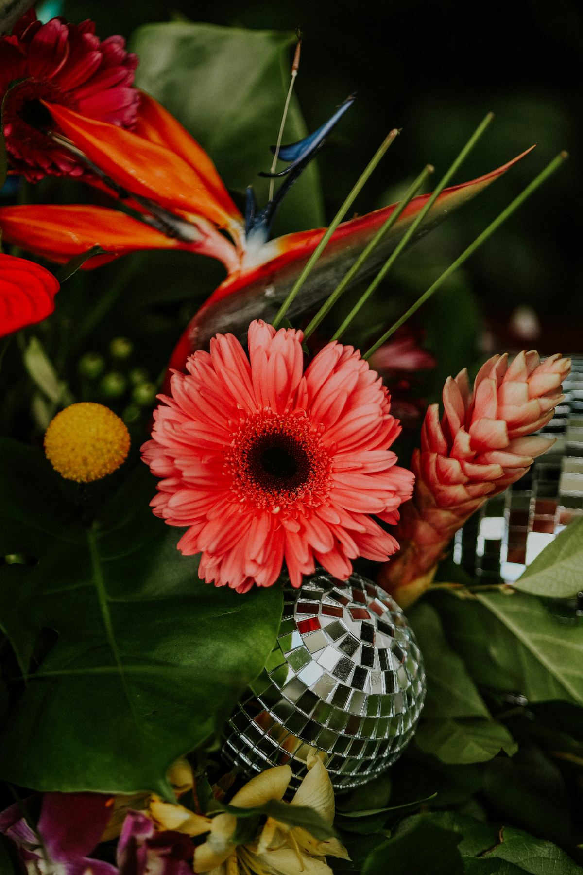 Vivid tropical florals — bird of paradise and coral blooms