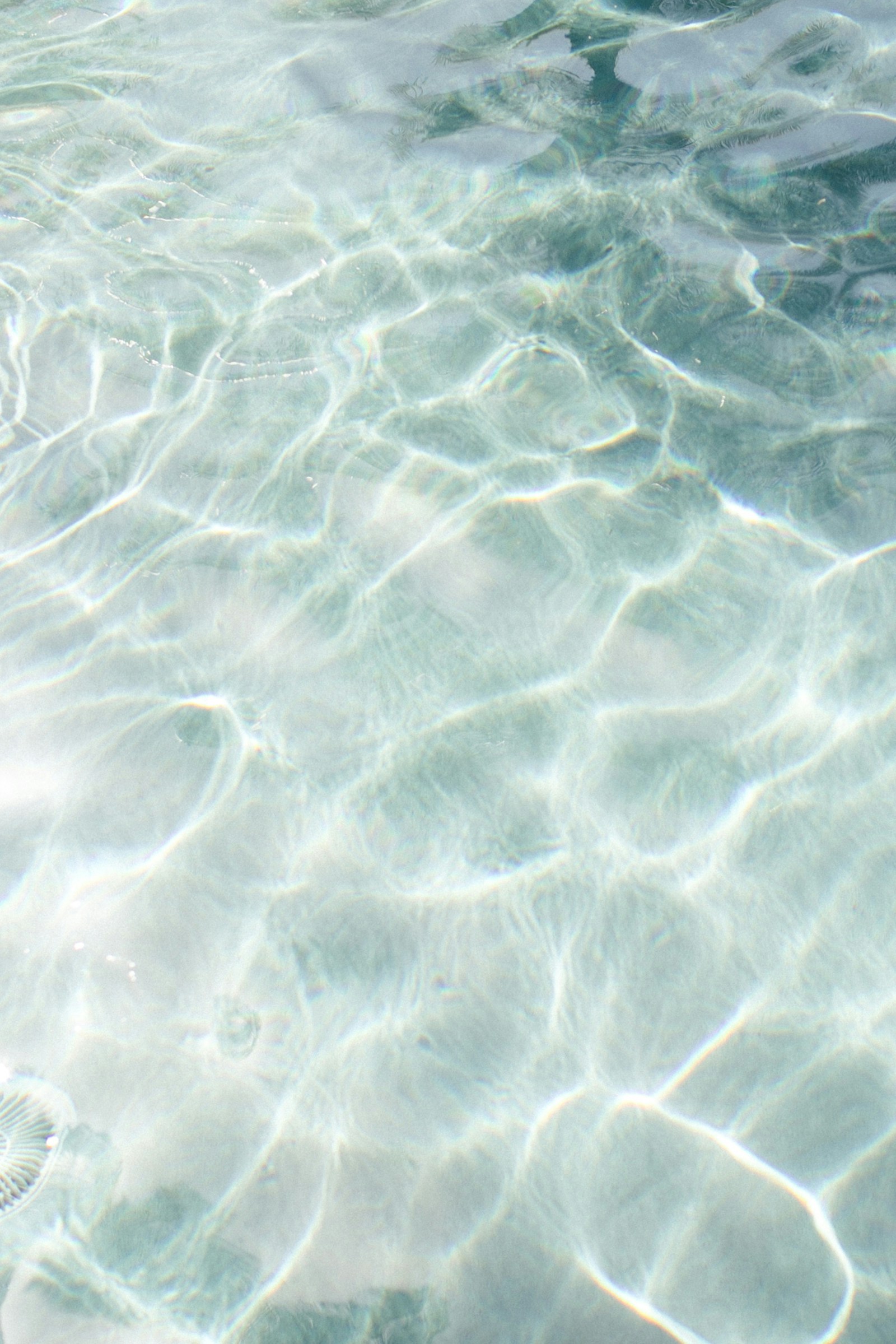 Sunlight rippling through clear turquoise shallows